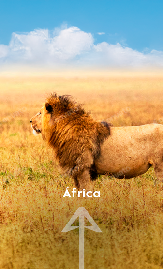 destinos a africa akira travel